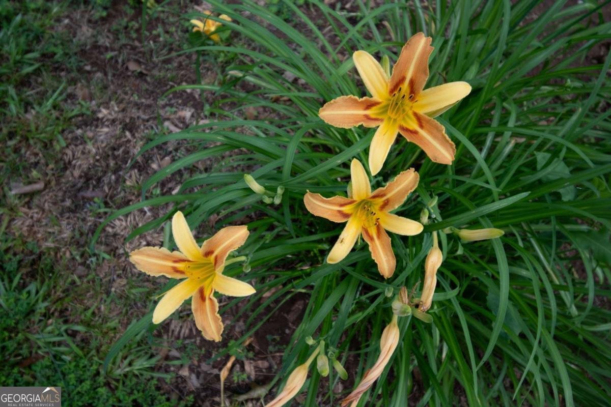 2021 Windfield Drive Monroe - 30