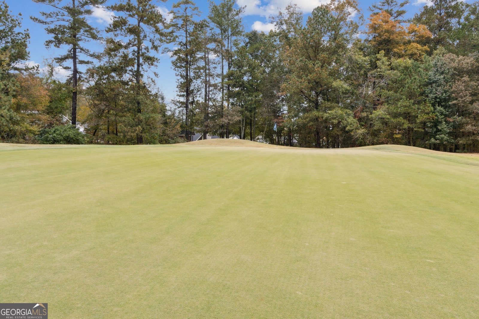 2422 Oak Bluff Drive Dacula - 67