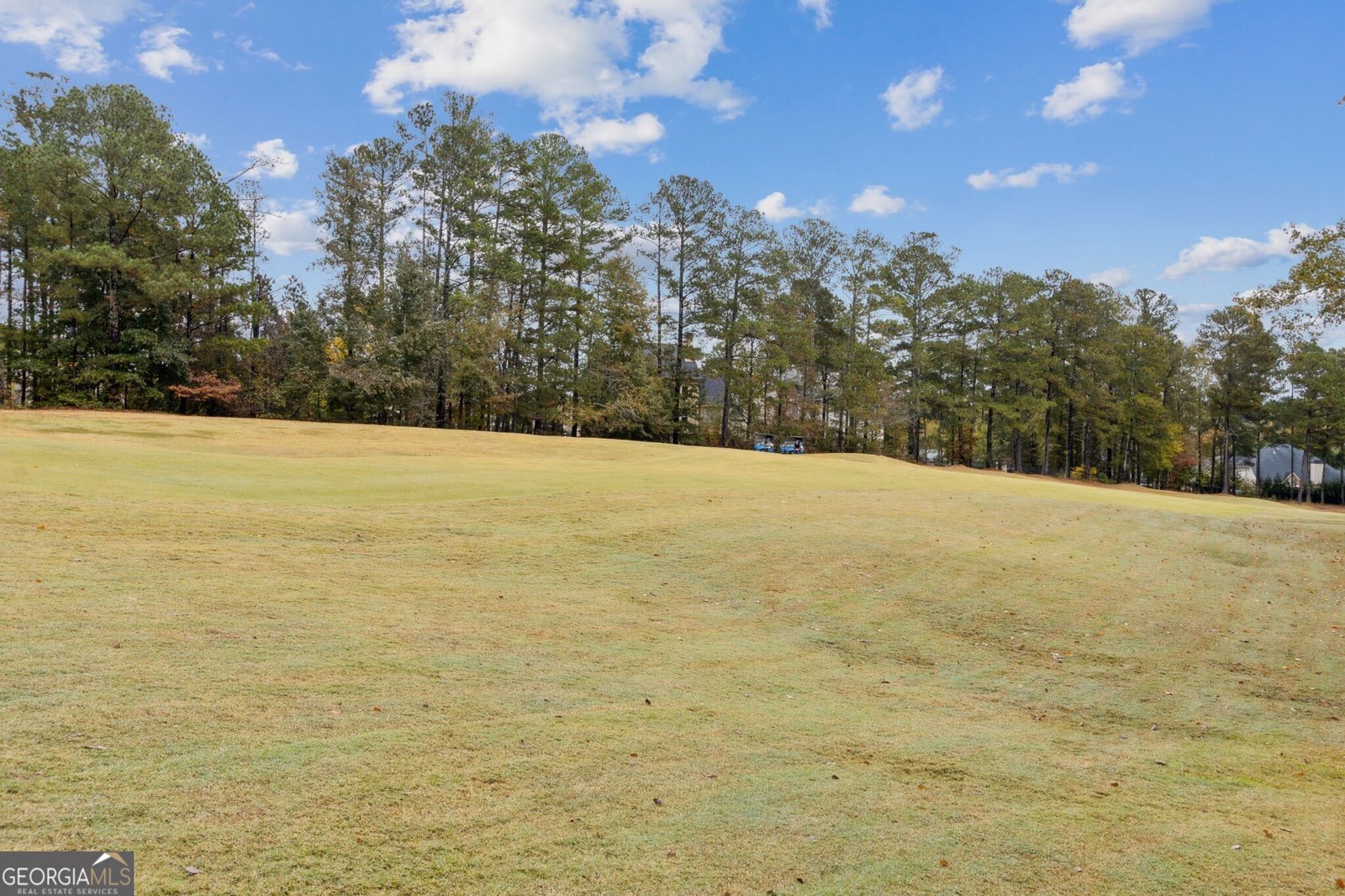 2422 Oak Bluff Drive Dacula - 68