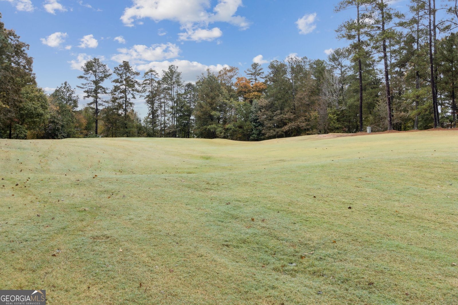 2422 Oak Bluff Drive Dacula - 69