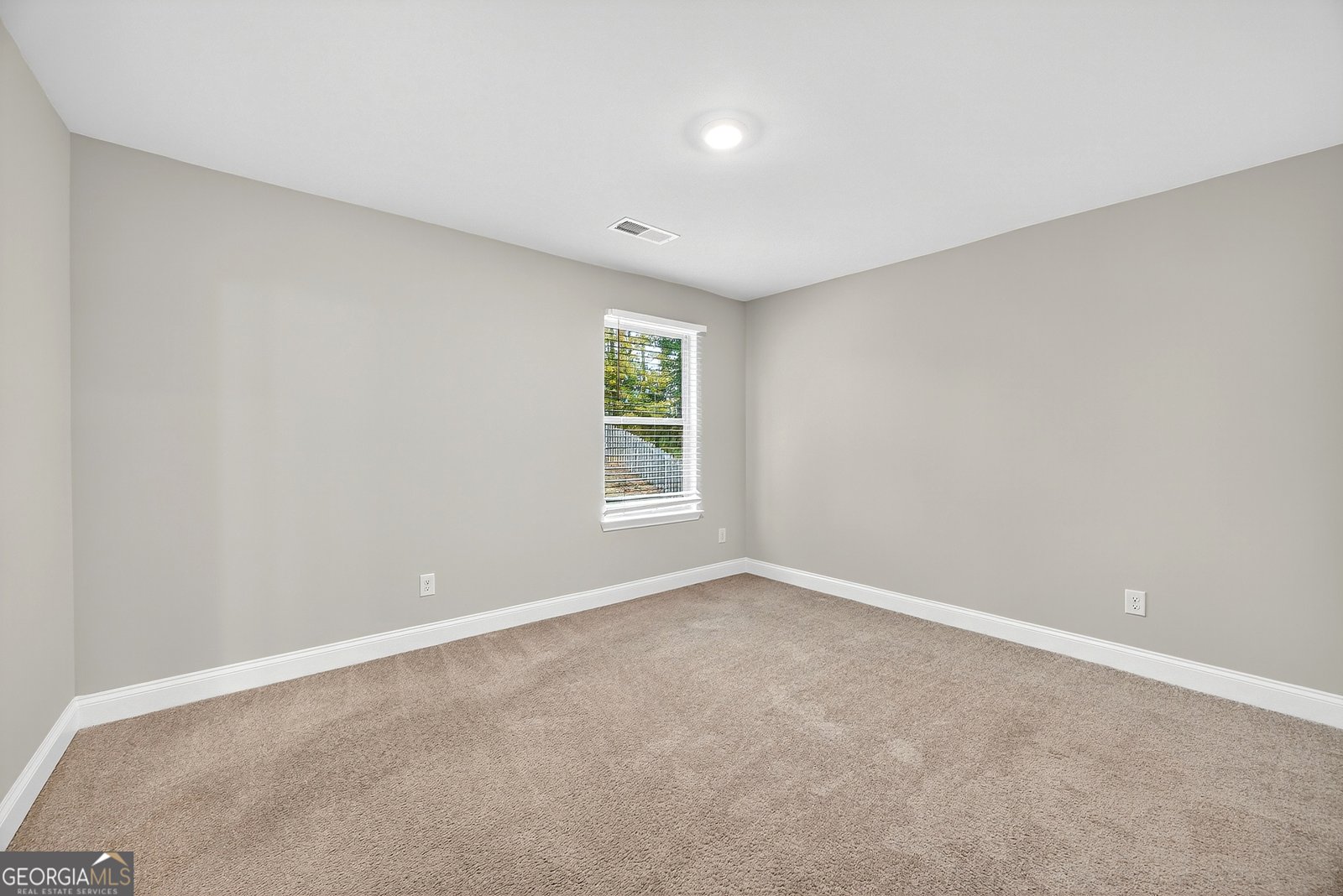 220 Calebee Avenue Senoia - 32