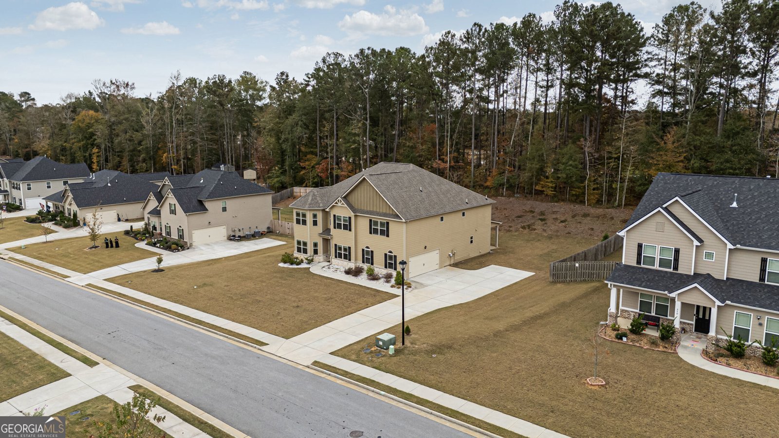 220 Calebee Avenue Senoia - 42