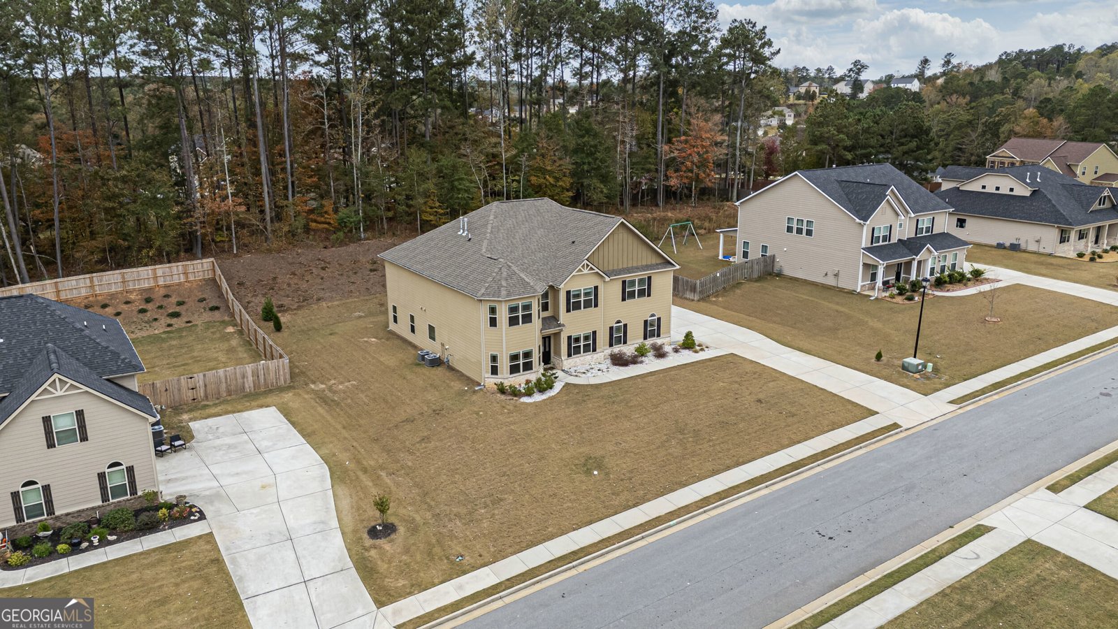 220 Calebee Avenue Senoia - 44