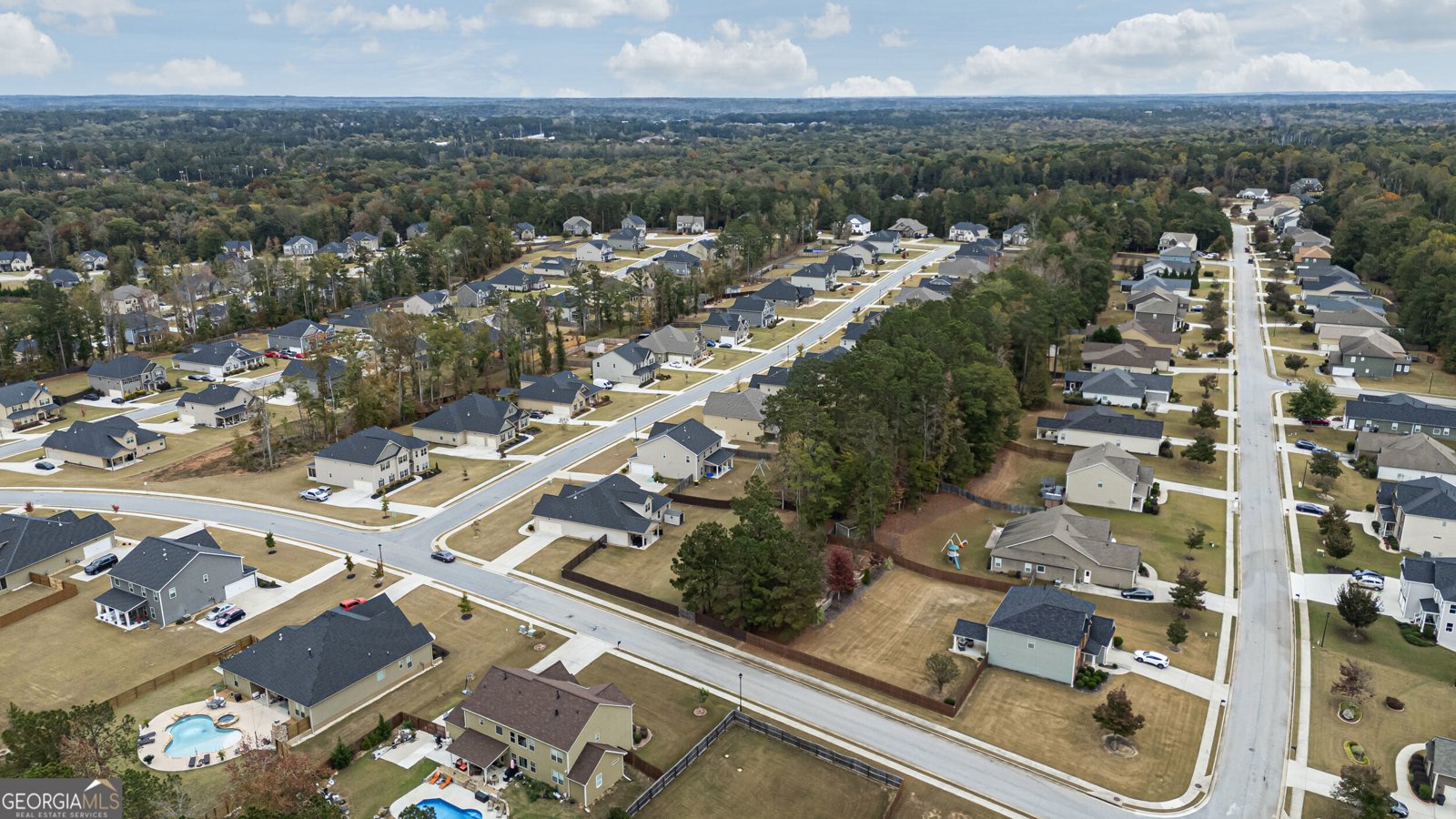 220 Calebee Avenue Senoia - 47