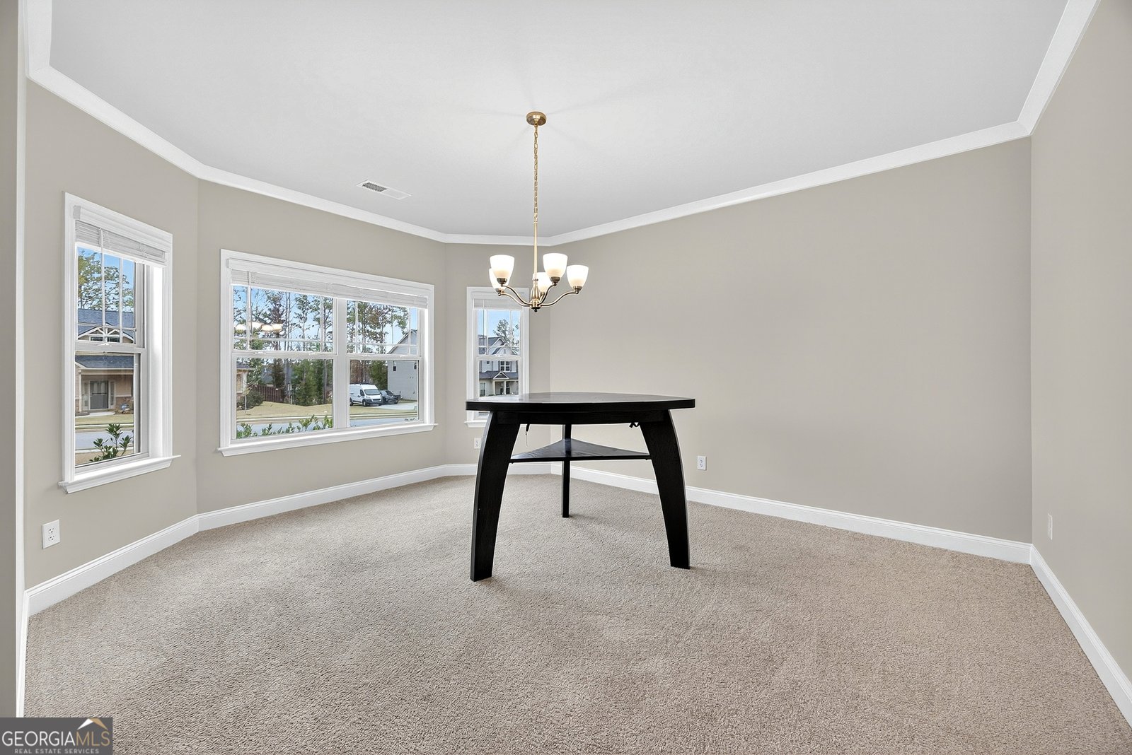 220 Calebee Avenue Senoia - 6