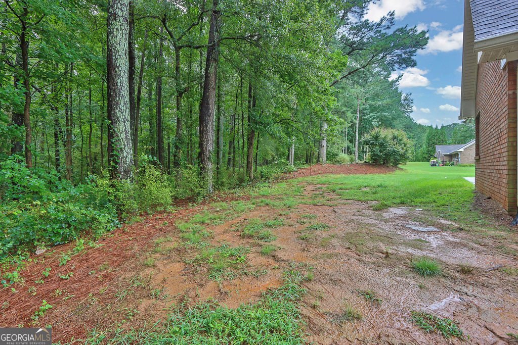 2549 Maggie Woods Court Dacula - 37