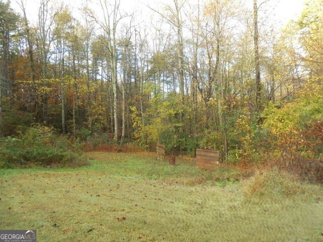 280 Stonebank Road Clarkesville - 8