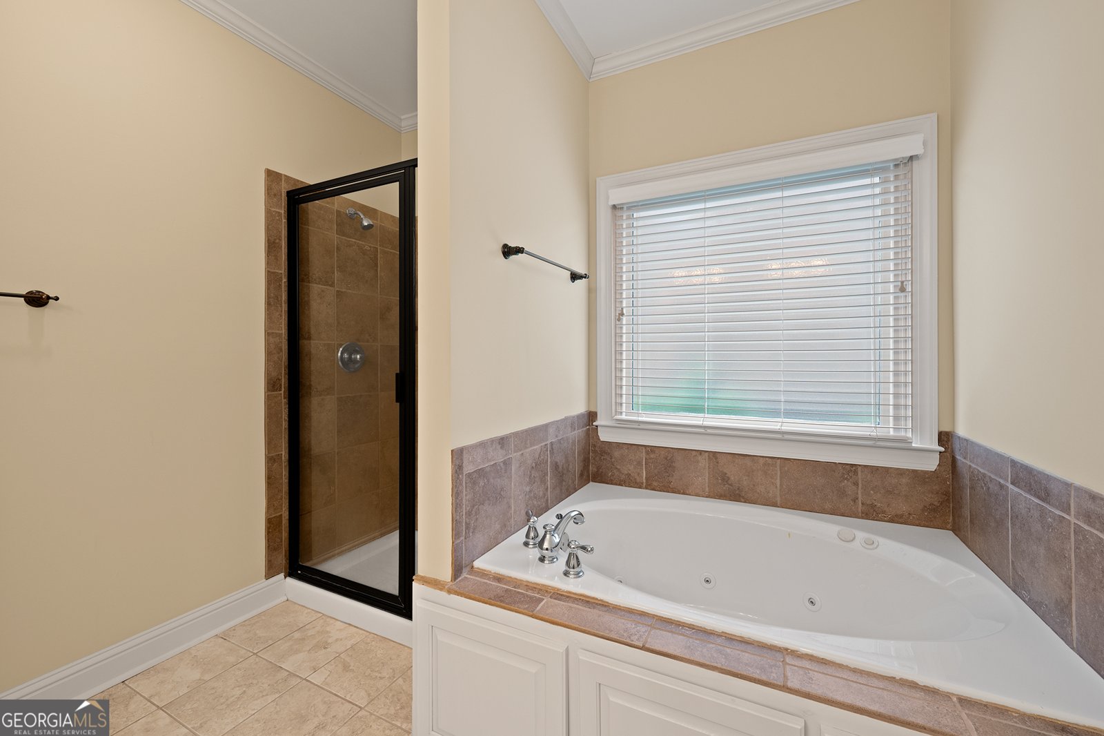 1355 Cold Tree Lane Watkinsville - 28