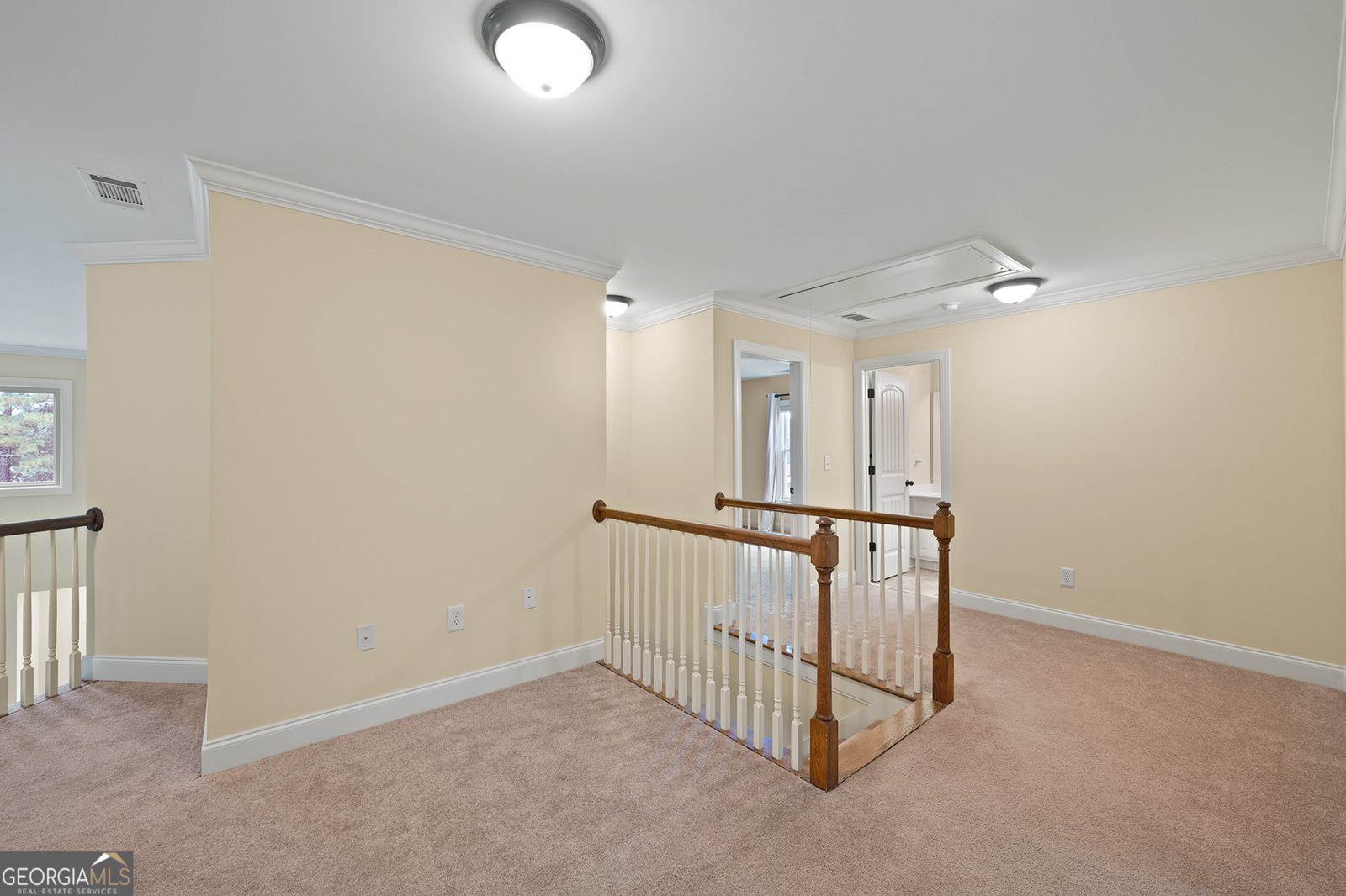 1355 Cold Tree Lane Watkinsville - 34