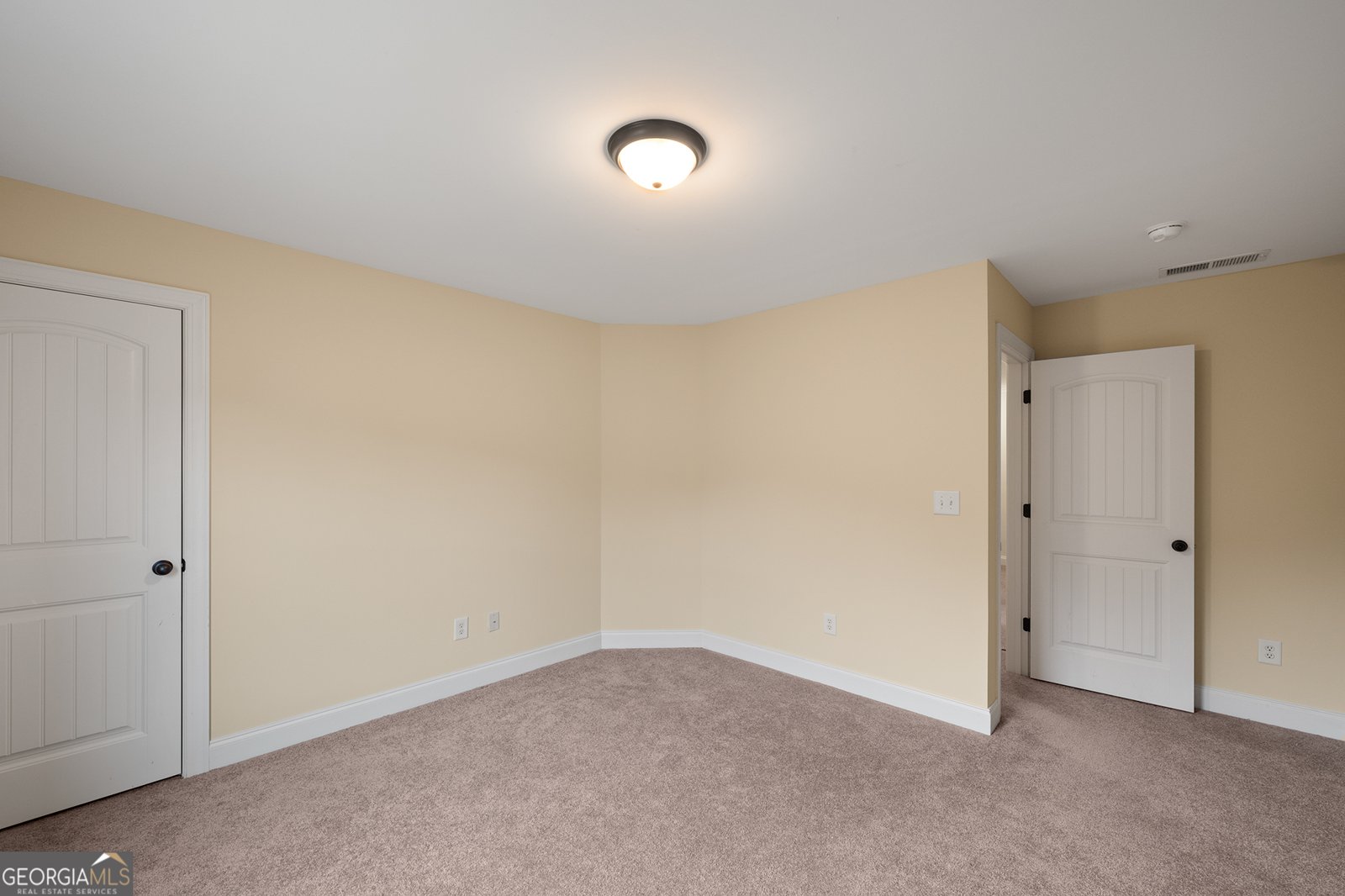 1355 Cold Tree Lane Watkinsville - 46