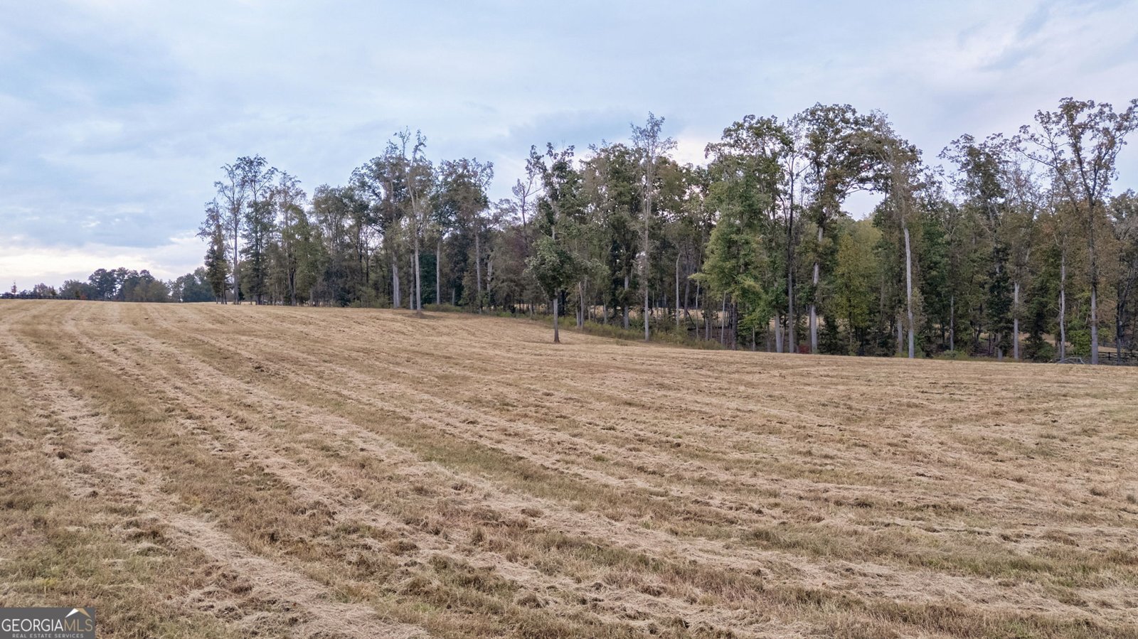 1101 Shockley Road Madison - 22