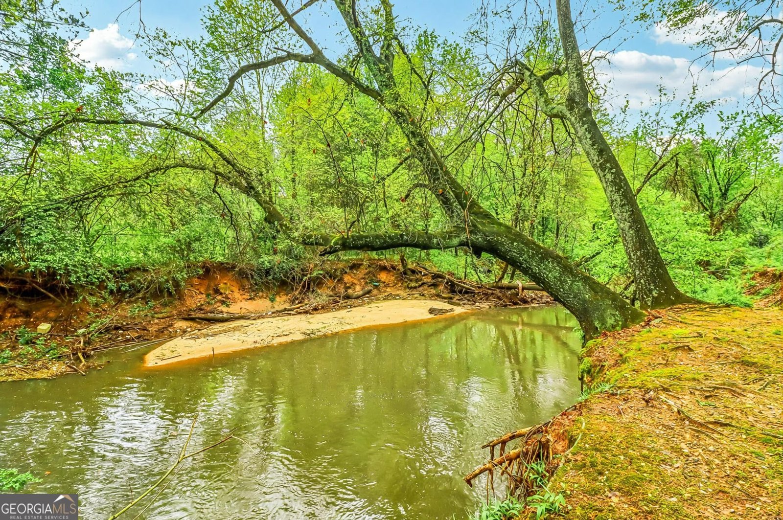 358 Nature Brook Walk Smyrna - 109