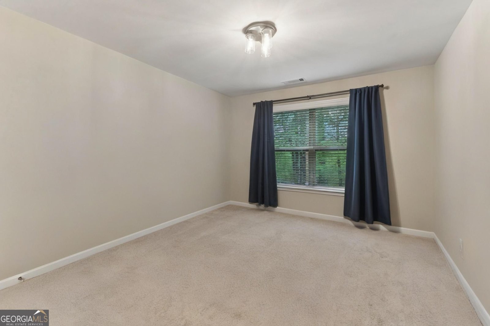 358 Nature Brook Walk Smyrna - 53