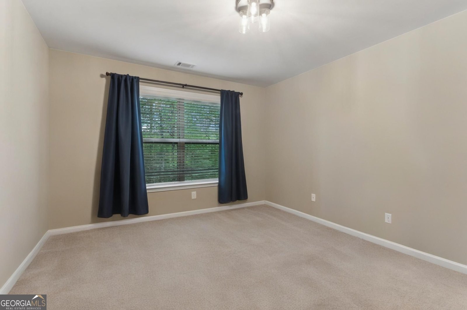 358 Nature Brook Walk Smyrna - 59