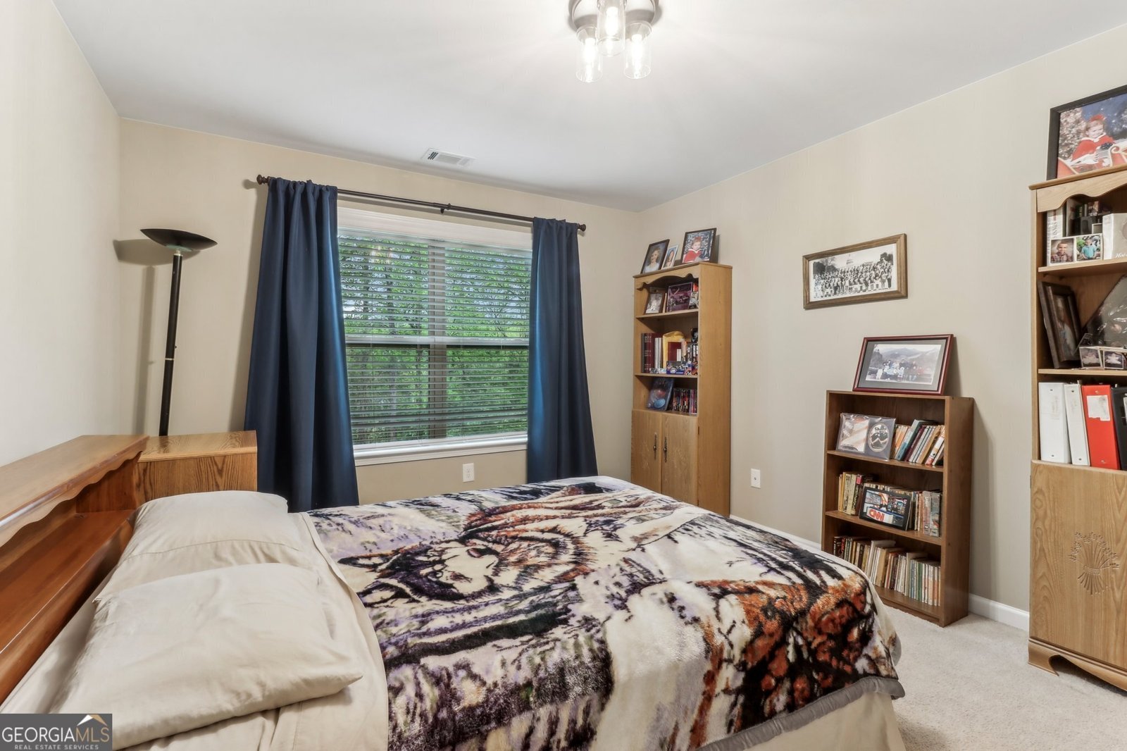 358 Nature Brook Walk Smyrna - 60