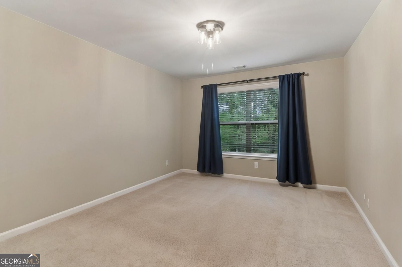 358 Nature Brook Walk Smyrna - 65