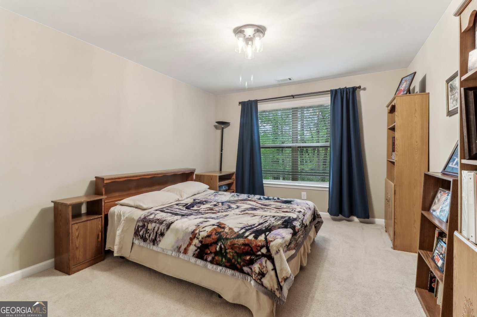 358 Nature Brook Walk Smyrna - 66