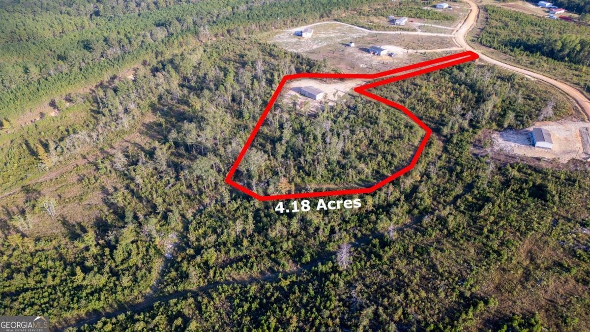 44 Longleaf Road Hazlehurst - 4