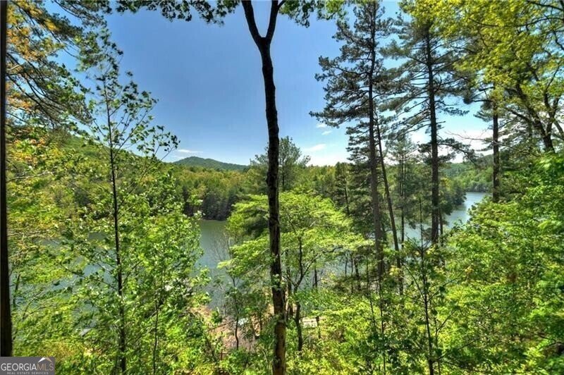 670 Magnolia Drive Blue Ridge - 20