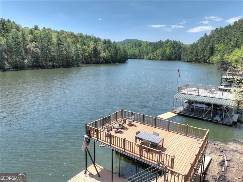 670 Magnolia Drive Blue Ridge - 32