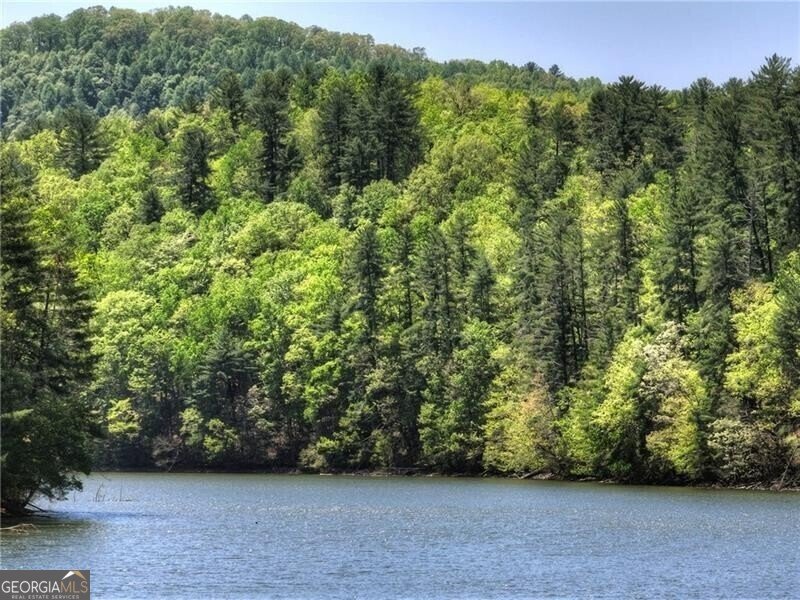 670 Magnolia Drive Blue Ridge - 34