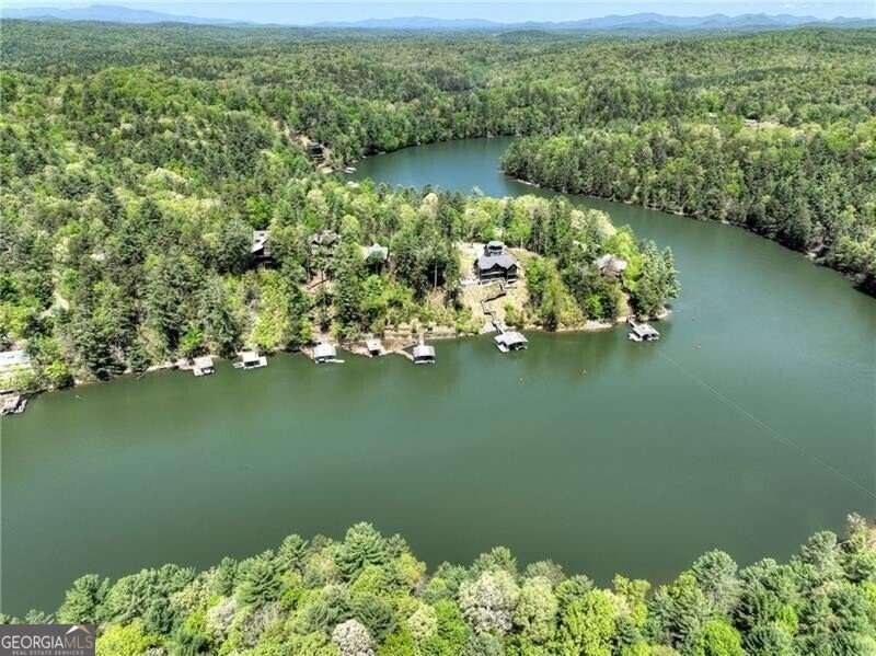 670 Magnolia Drive Blue Ridge - 40