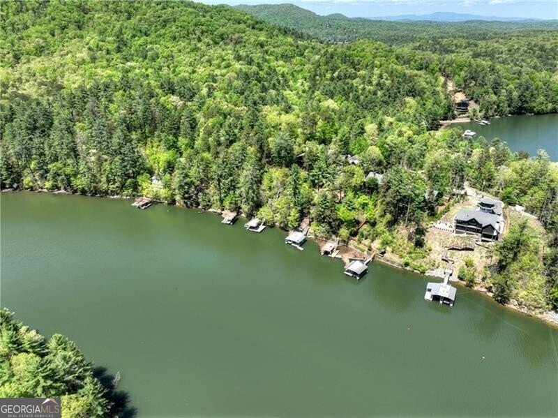 670 Magnolia Drive Blue Ridge - 41