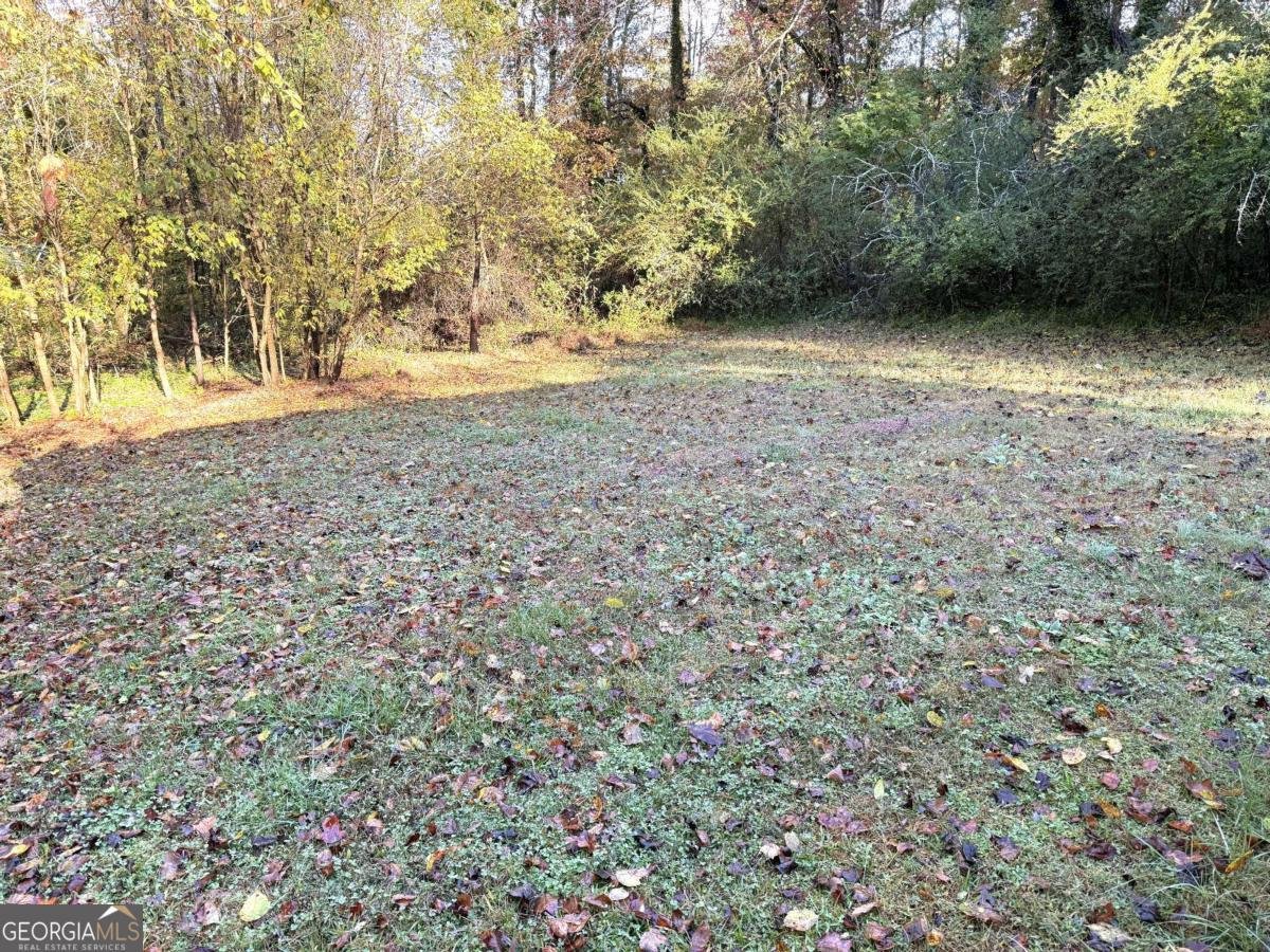 222 Weeping Willow Drive Clarkesville - 5