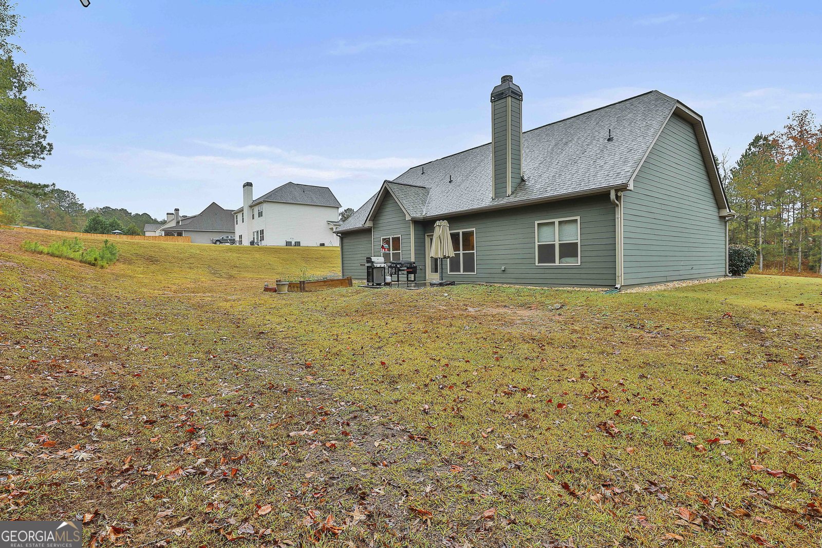 409 Walden Pond Way Senoia - 4