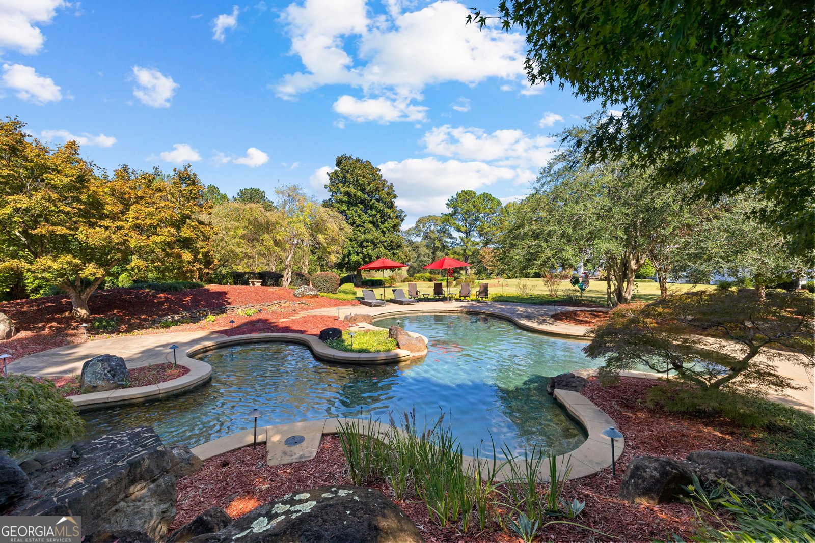 5225 Chalybeate Springs Road Woodland - 11