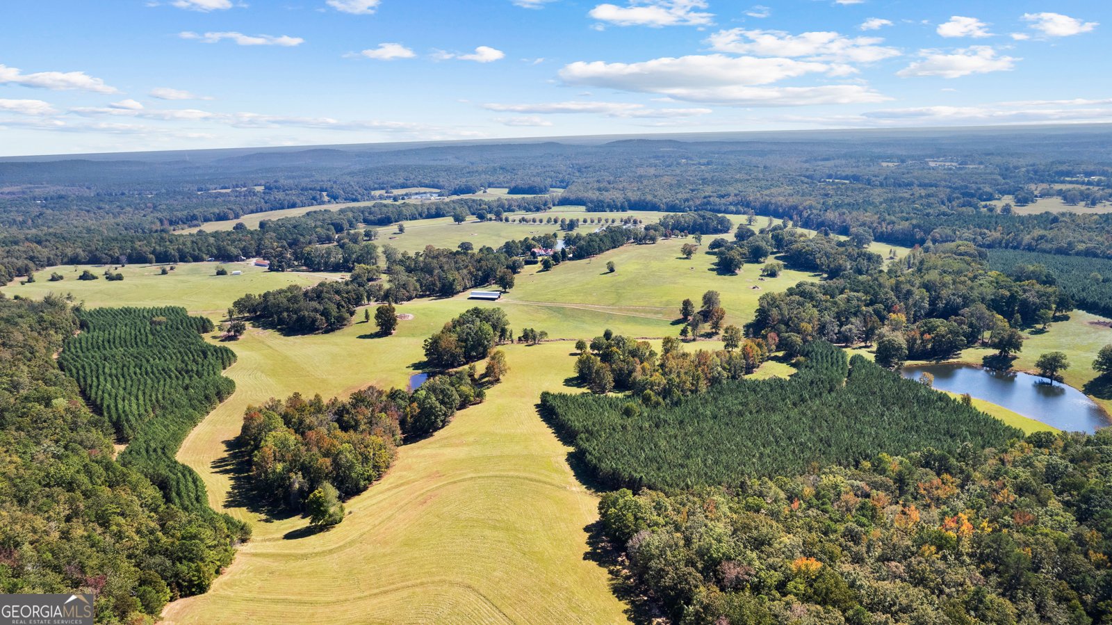 5225 Chalybeate Springs Road Woodland - 12