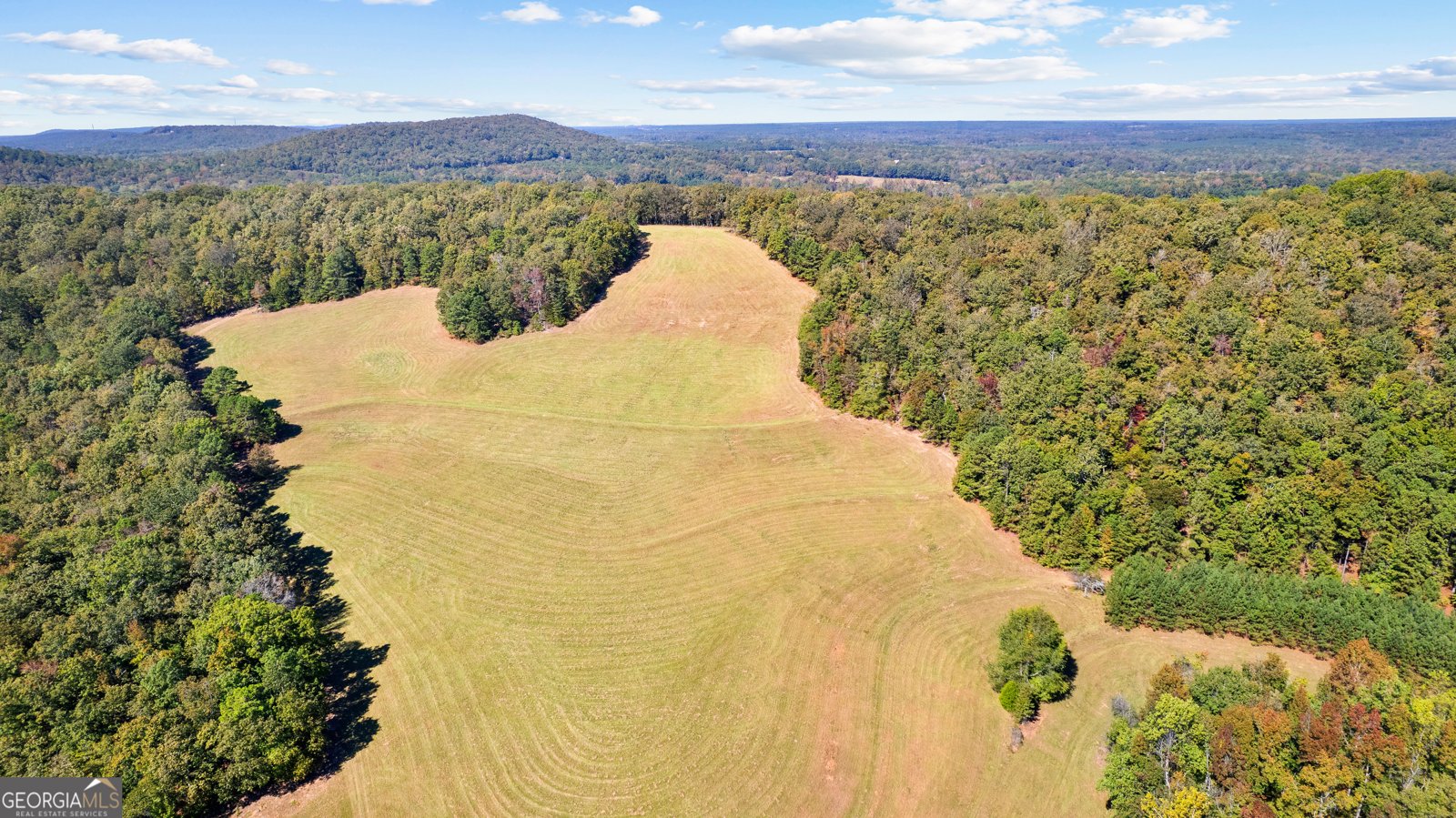 5225 Chalybeate Springs Road Woodland - 13