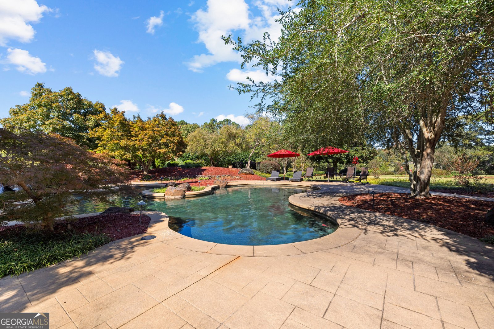 5225 Chalybeate Springs Road Woodland - 130