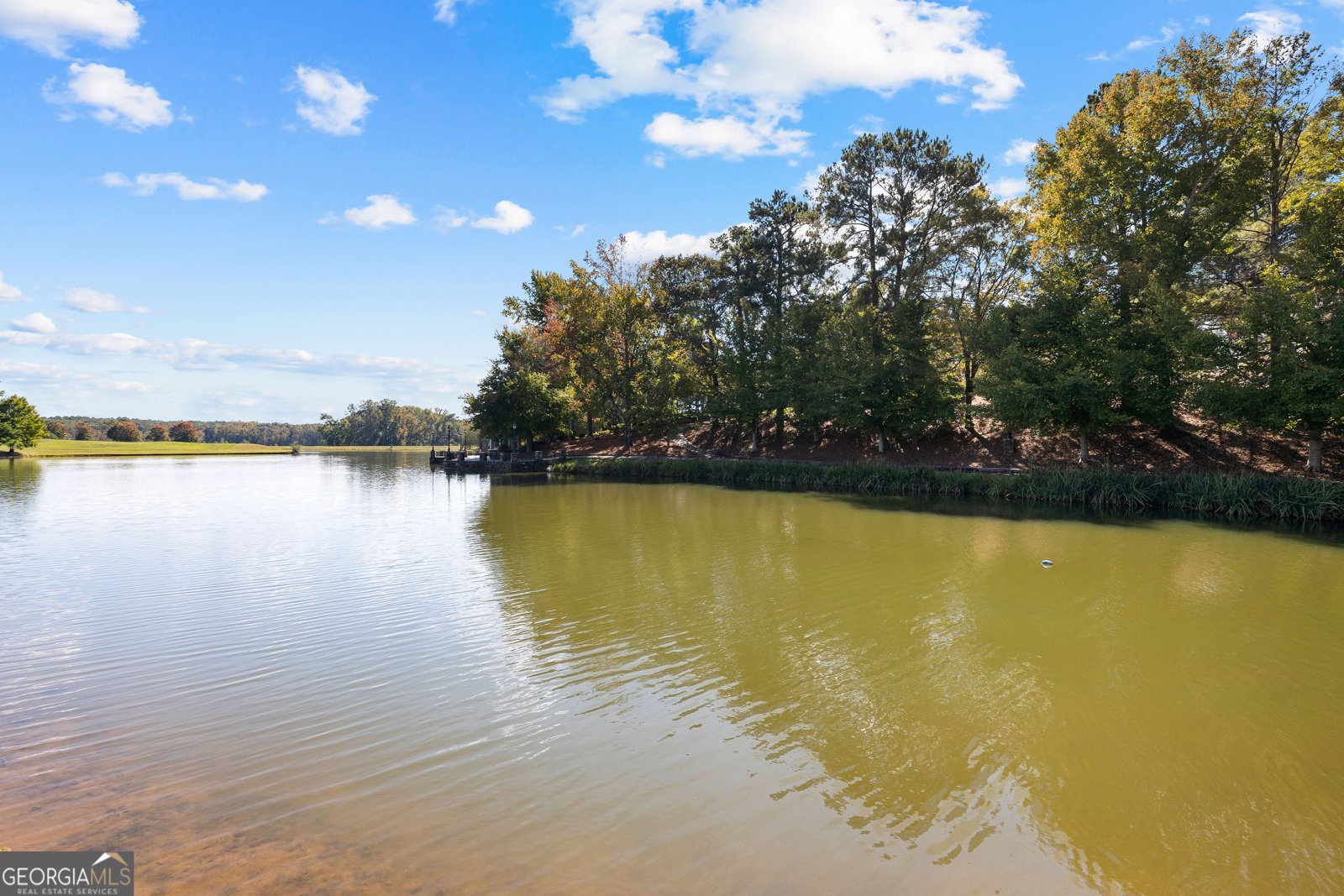 5225 Chalybeate Springs Road Woodland - 138