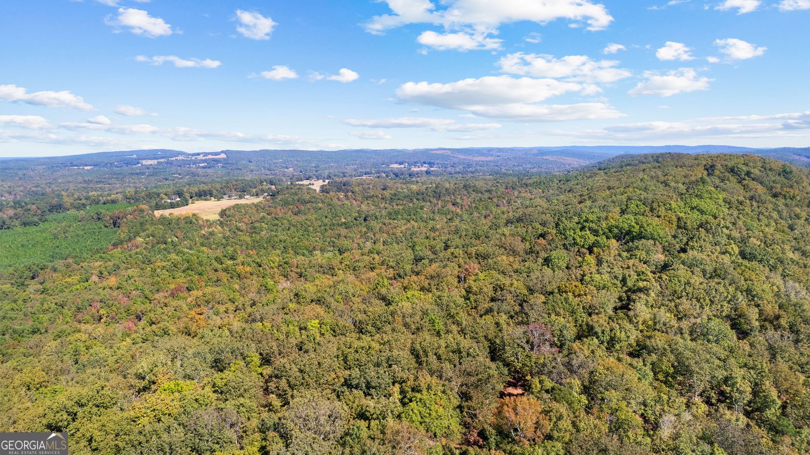 5225 Chalybeate Springs Road Woodland - 14
