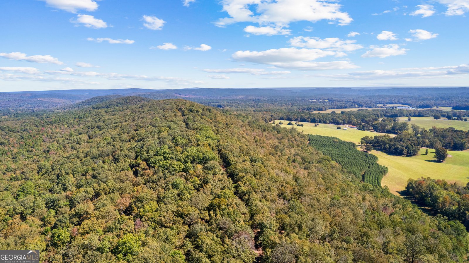5225 Chalybeate Springs Road Woodland - 15