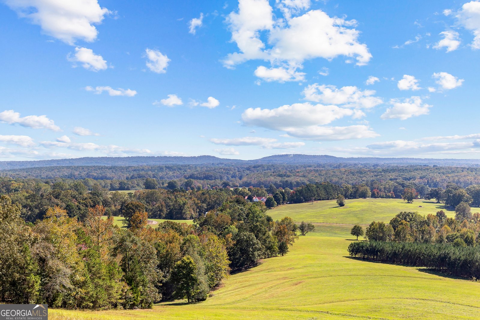 5225 Chalybeate Springs Road Woodland - 16