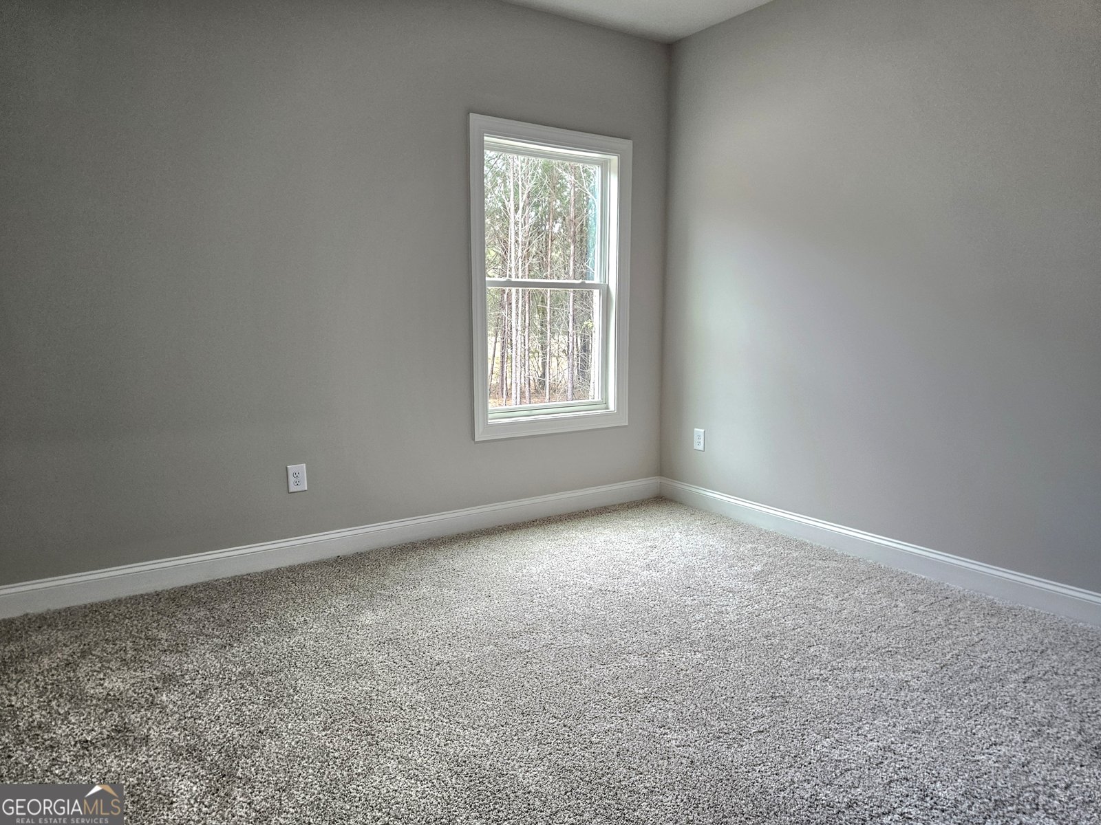 837 Alex Stephens Road Moreland - Photo 18