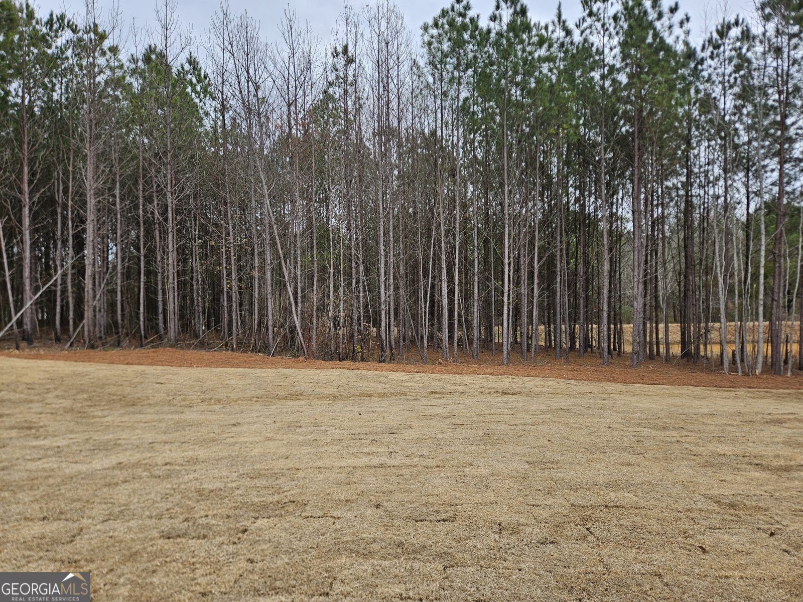 837 Alex Stephens Road Moreland - Photo 31