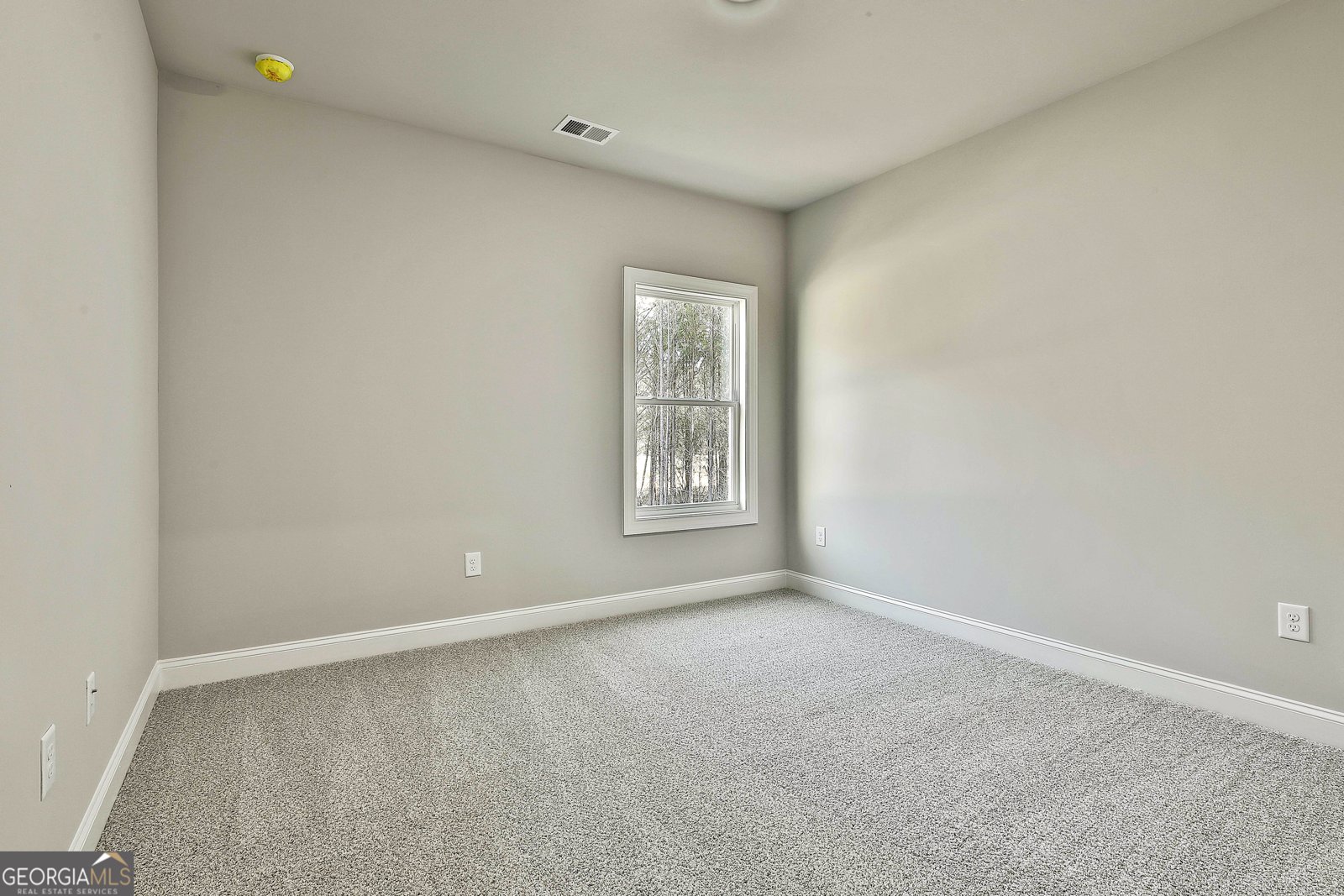 837 Alex Stephens Road Moreland - Photo 33