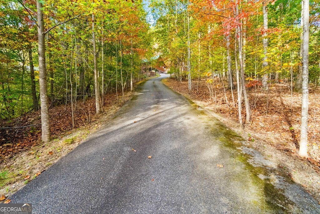 75 Covered Bridge Trail Blairsville - 24