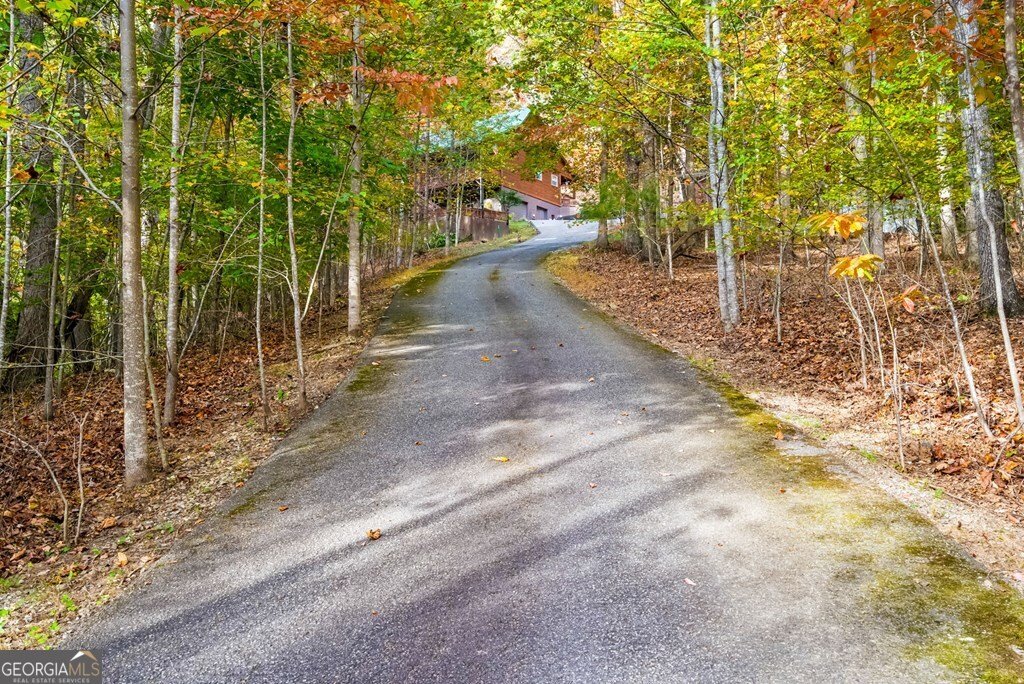 75 Covered Bridge Trail Blairsville - 25
