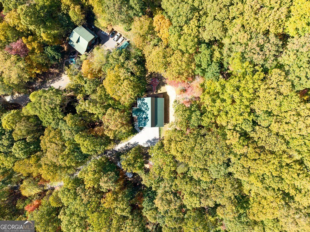 75 Covered Bridge Trail Blairsville - 27