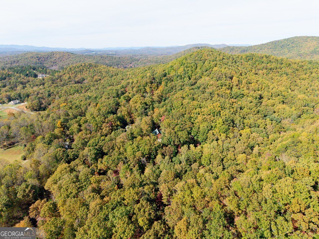 75 Covered Bridge Trail Blairsville - 29