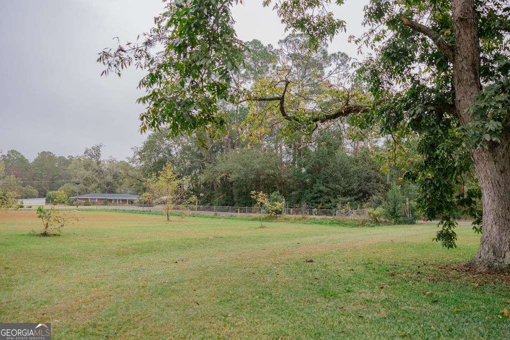 273 Holmesville Avenue Baxley - 25