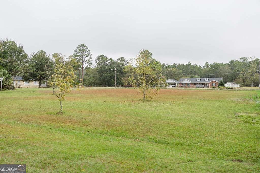 273 Holmesville Avenue Baxley - 27