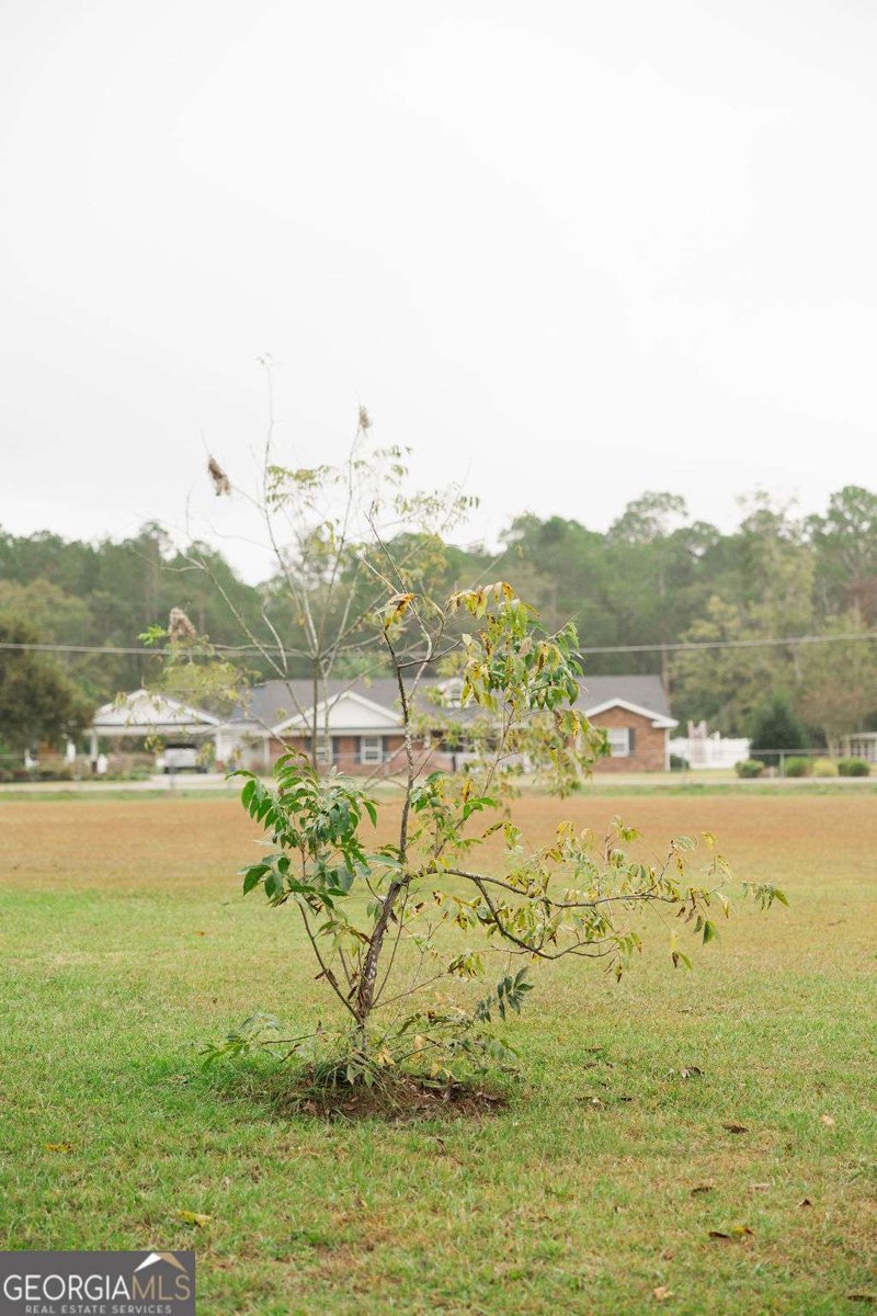 273 Holmesville Avenue Baxley - 28