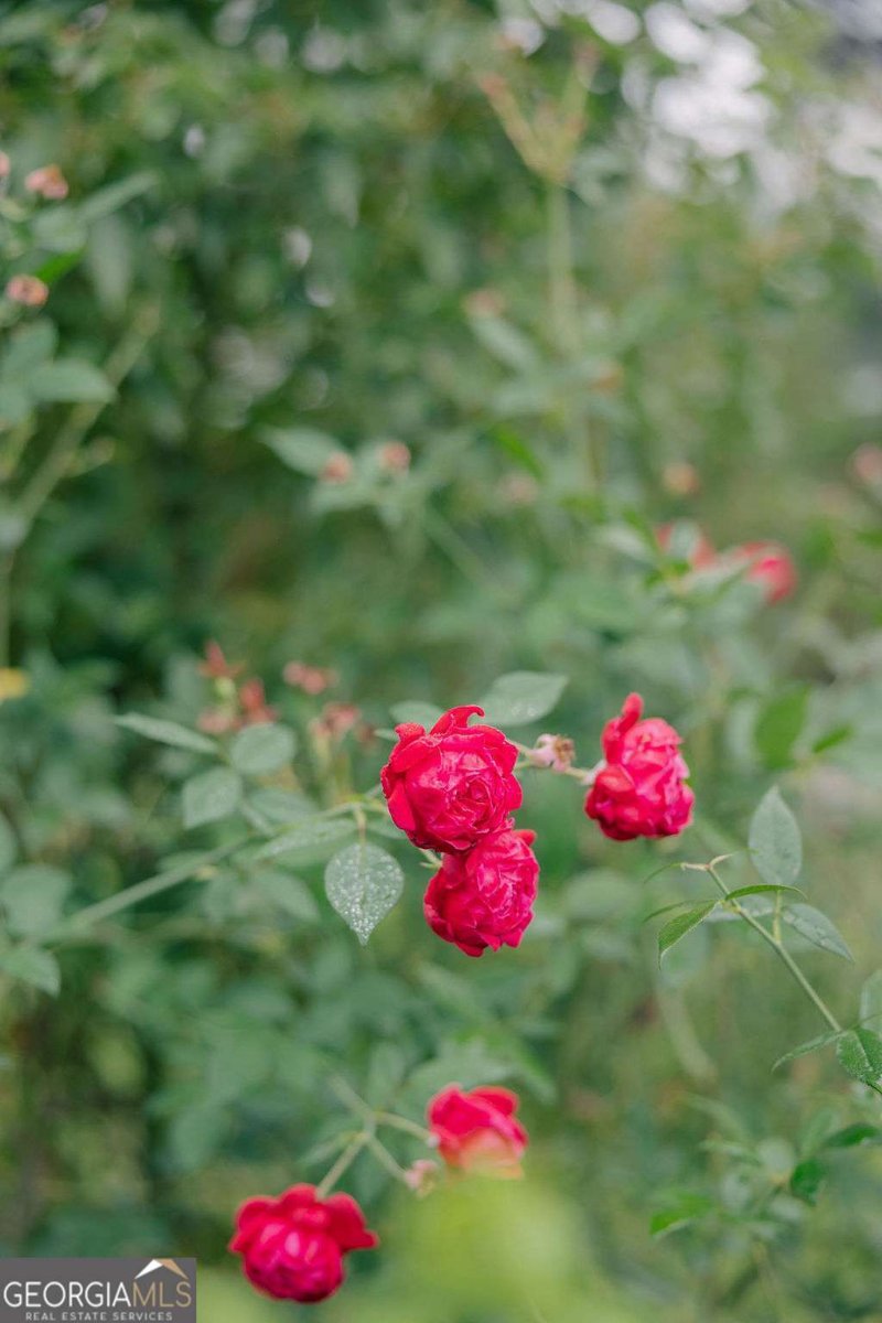 273 Holmesville Avenue Baxley - 31