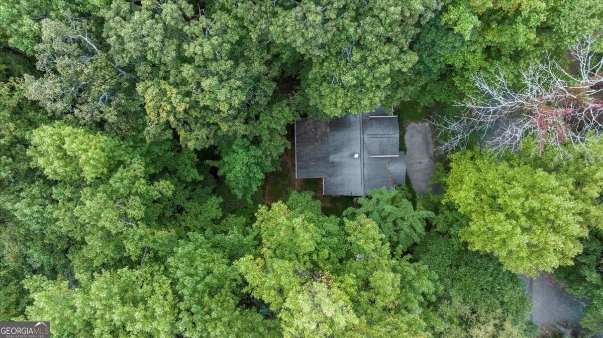 1083 Mountain Oak Road Ellijay - 36