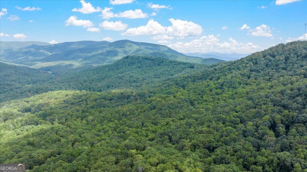 1083 Mountain Oak Road Ellijay - 37